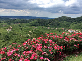 Il Prosecco e le rose spie