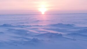 La neve dipinta di rosa dalle luci deboli di mezzogiorno a Gennaio in Lapponia