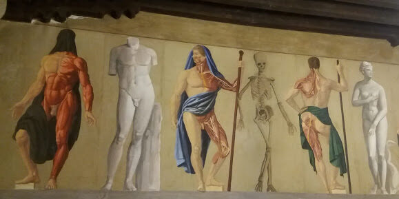 Il Palazzo Bo a Padova, 3 cose da fare a Padova