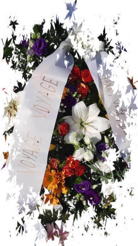 maledizione pipistrelliana